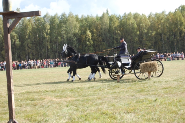 Dla miłośników koni (galeria zdjęć)