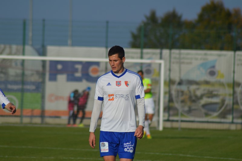 Pogoń pnie się w górę