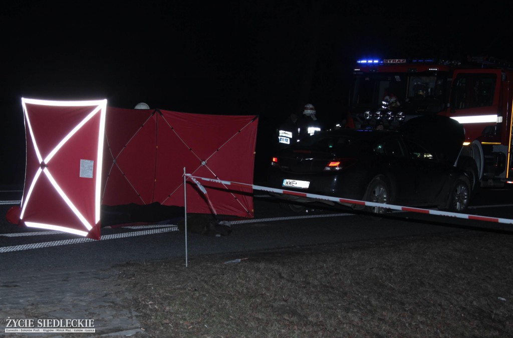 Śmiertelny wypadek na krajowej 