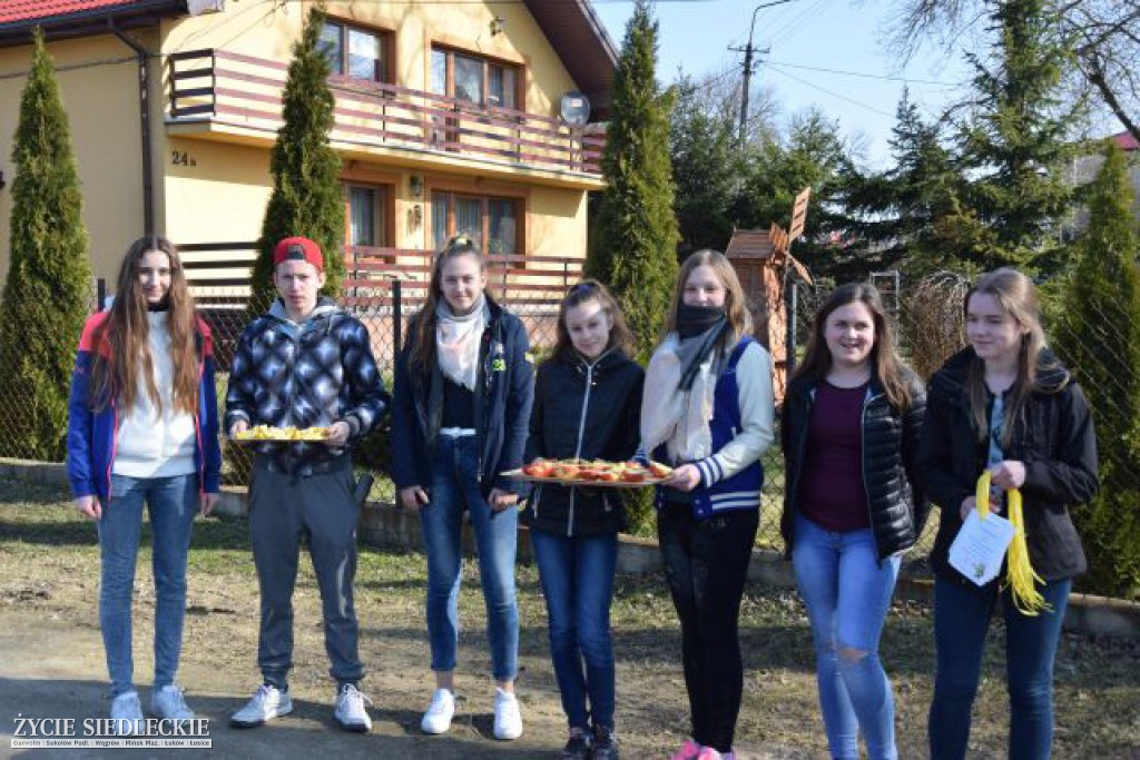 „Jabłko czy cytryna?” – czyli kwaśny smak wykroczeń