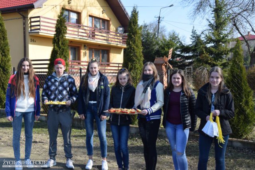 „Jabłko czy cytryna?” – czyli kwaśny smak wykroczeń