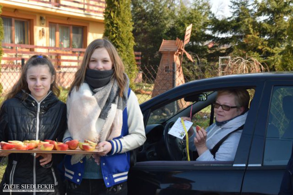 „Jabłko czy cytryna?” – czyli kwaśny smak wykroczeń