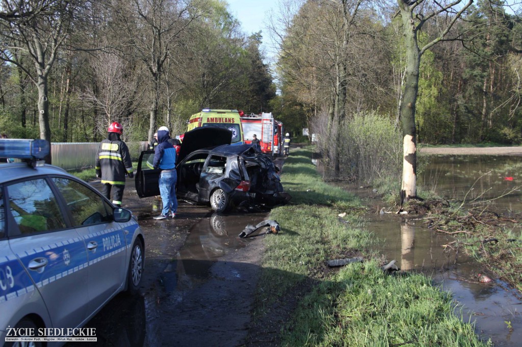 Golice: volkswagen uderzył w drzewo