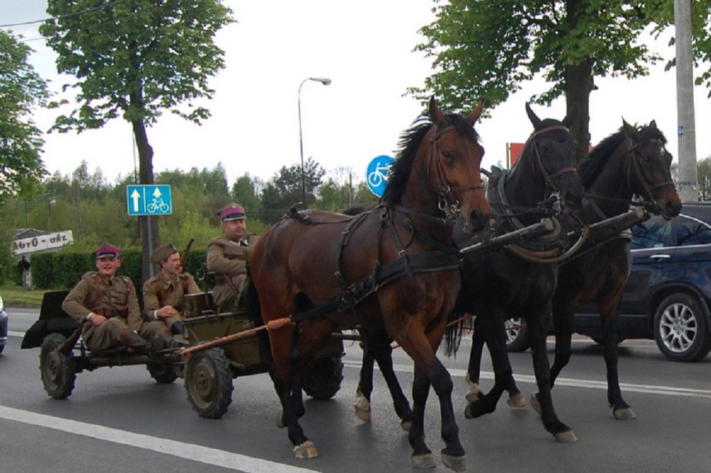 Na straży historii i tradycji