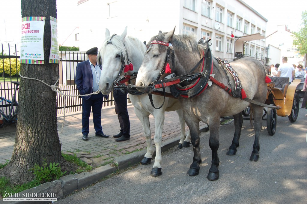 Festiwal Kultury i Tradycji Garwolina