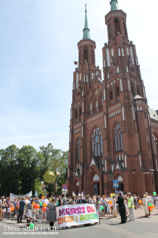 Siedlce: Marsz dla Życia i Rodziny