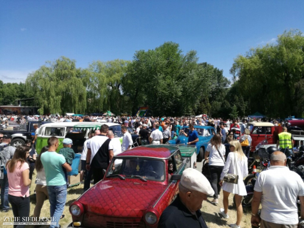 Mrowisko 2017
