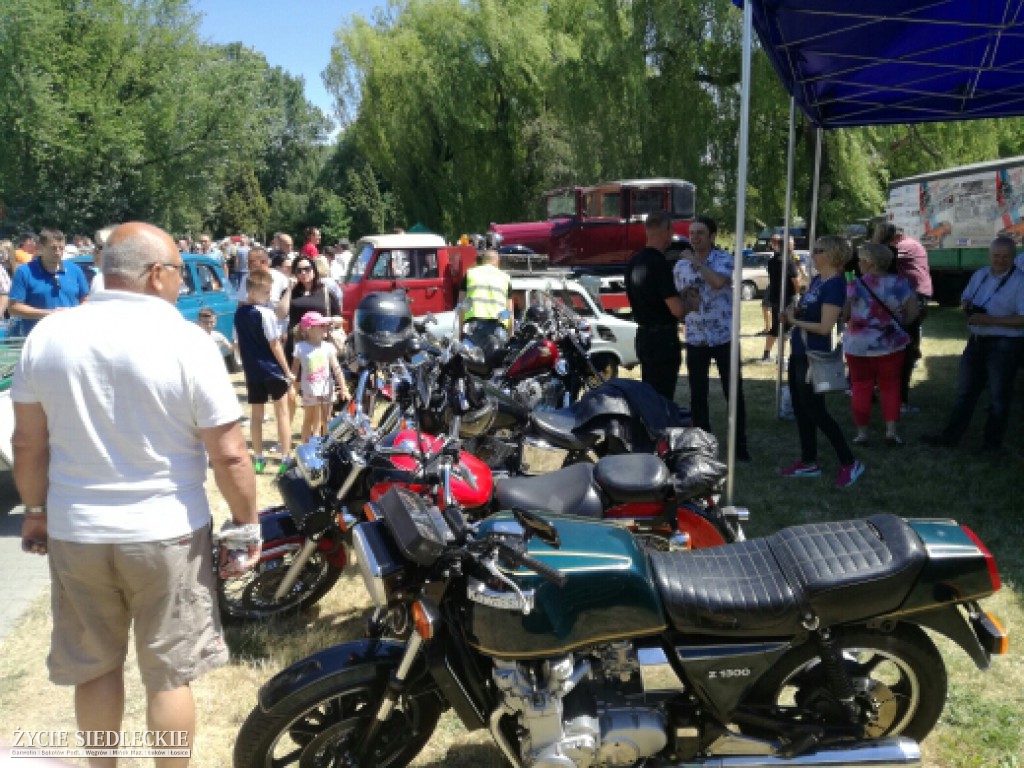 Mrowisko 2017