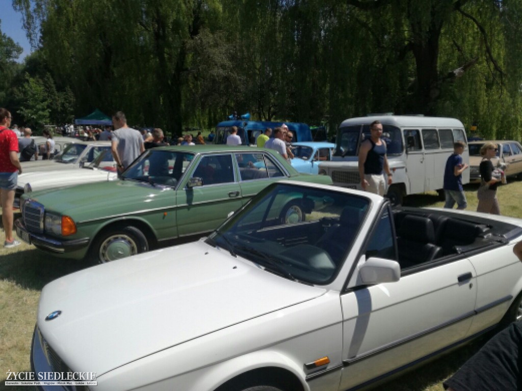 Mrowisko 2017