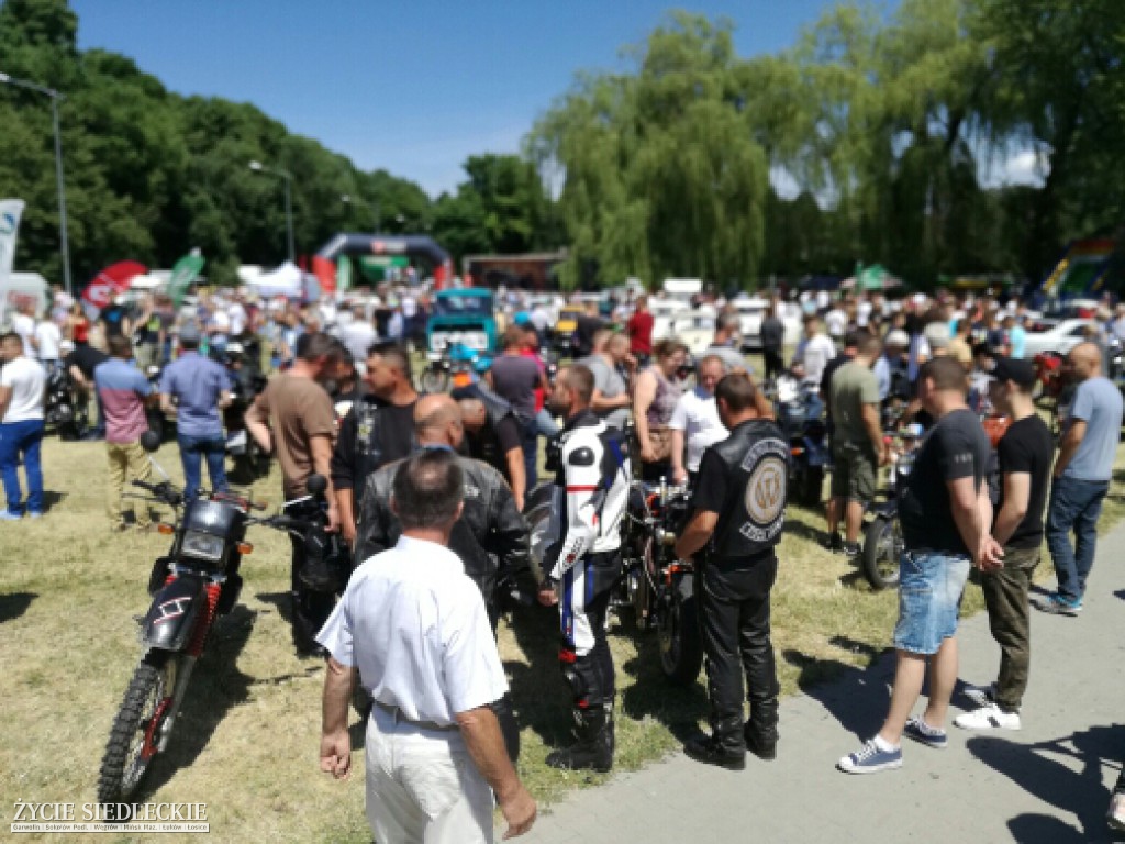 Mrowisko 2017