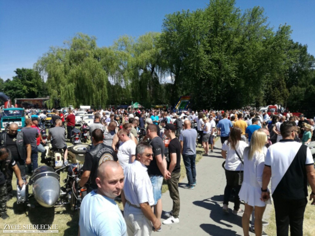 Mrowisko 2017