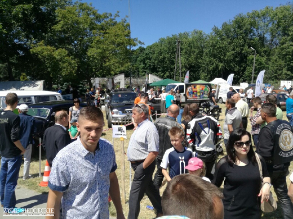 Mrowisko 2017