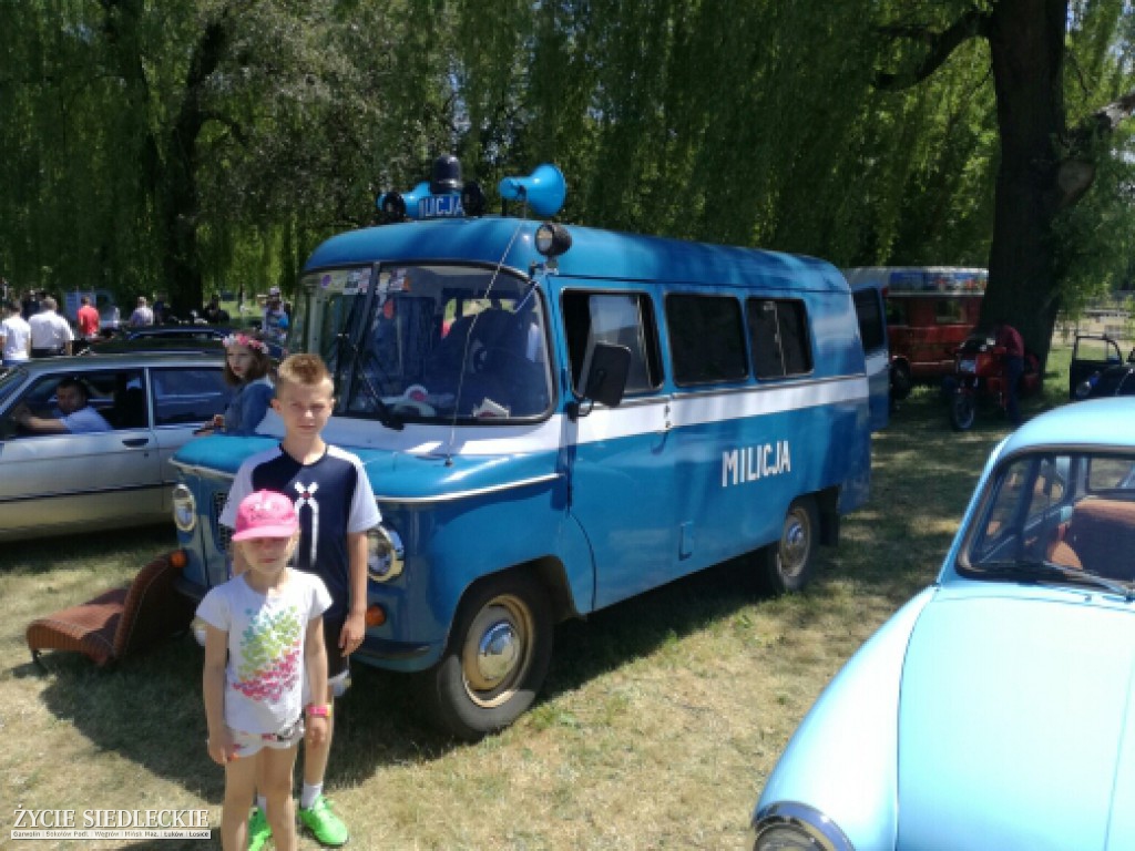 Mrowisko 2017