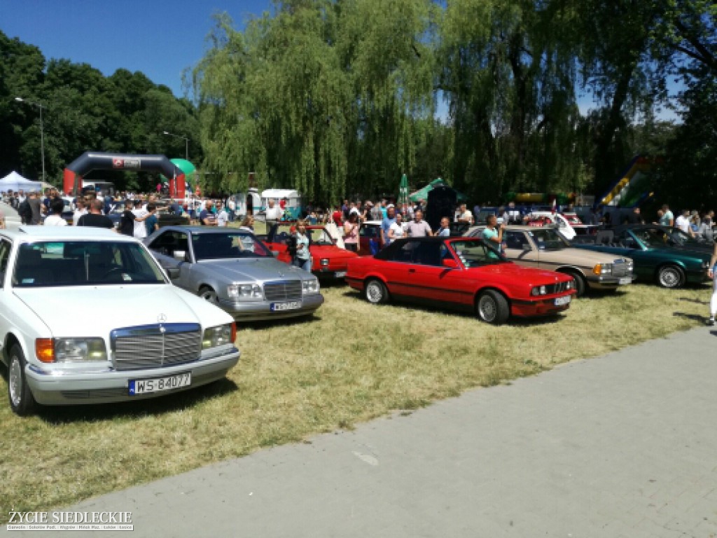 Mrowisko 2017