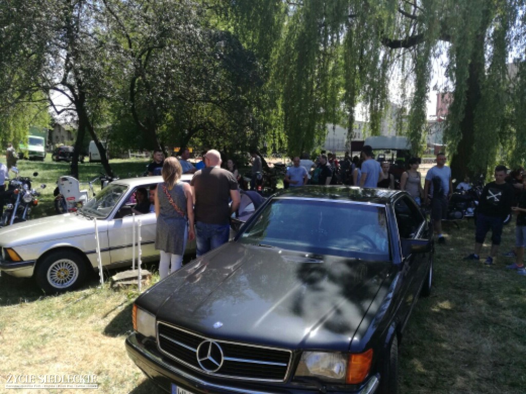 Mrowisko 2017