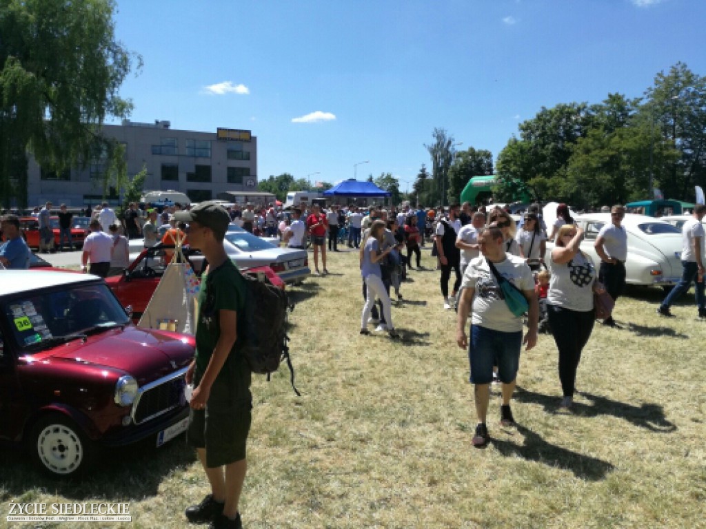 Mrowisko 2017