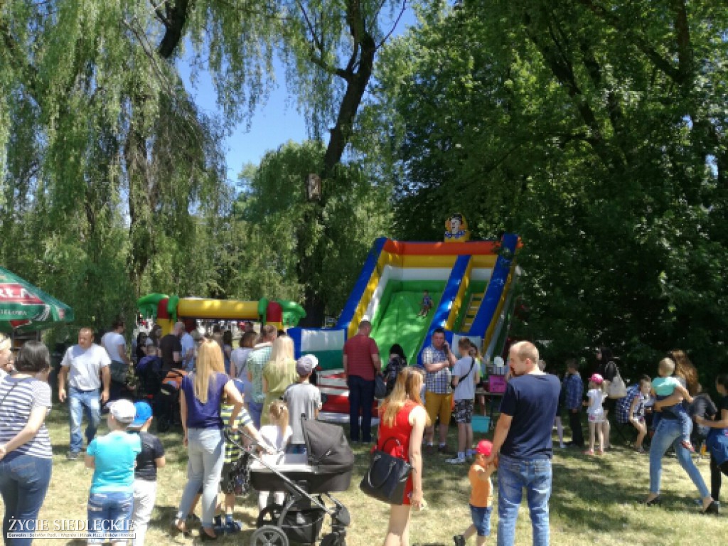 Mrowisko 2017