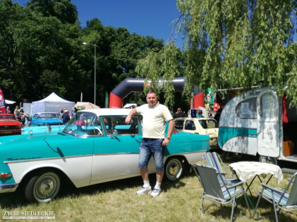 Mrowisko 2017