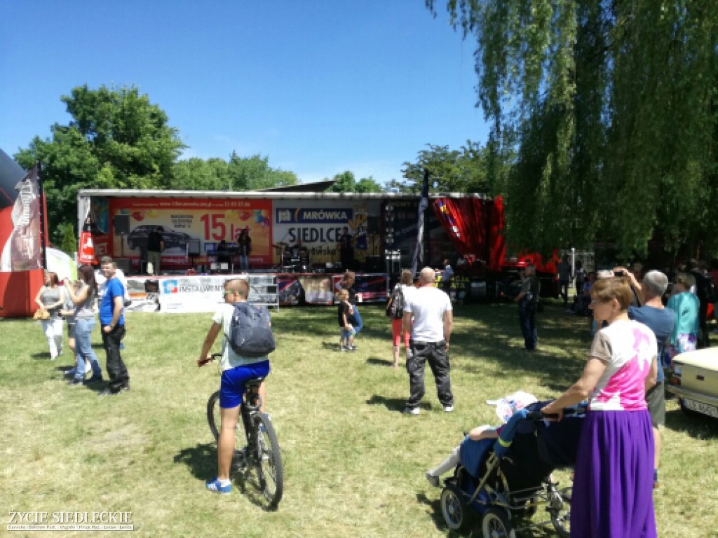 Mrowisko 2017