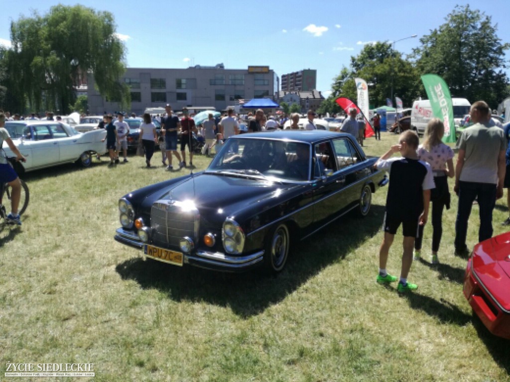 Mrowisko 2017