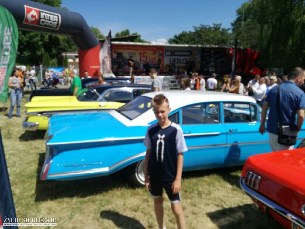 Mrowisko 2017