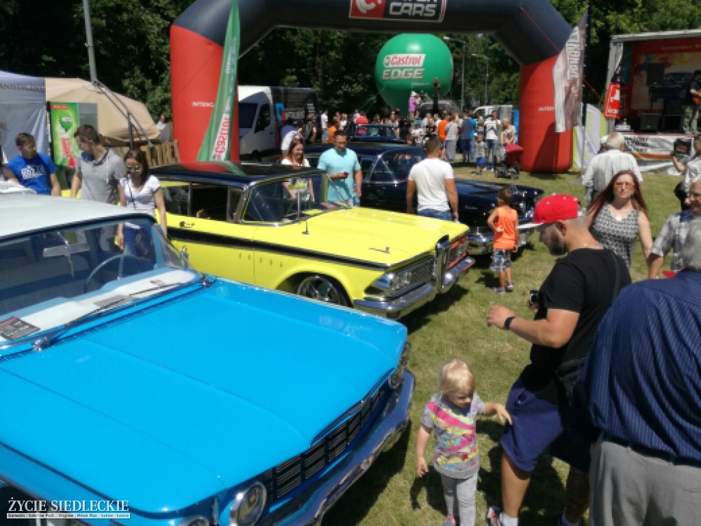 Mrowisko 2017