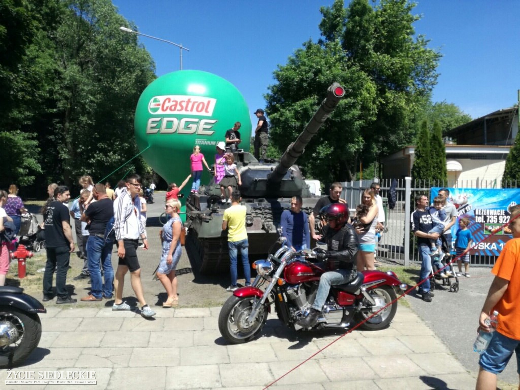 Mrowisko 2017