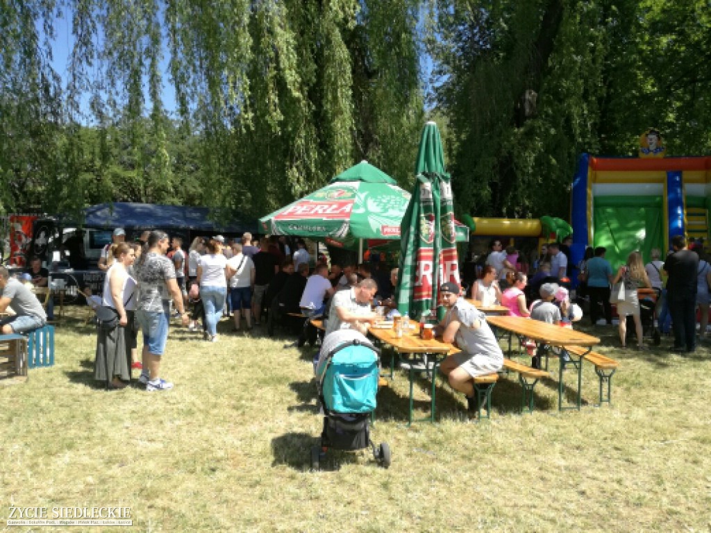 Mrowisko 2017