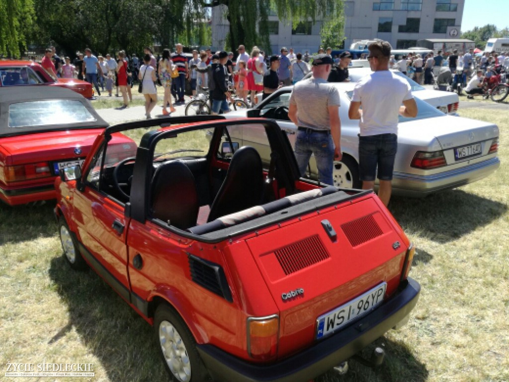 Mrowisko 2017