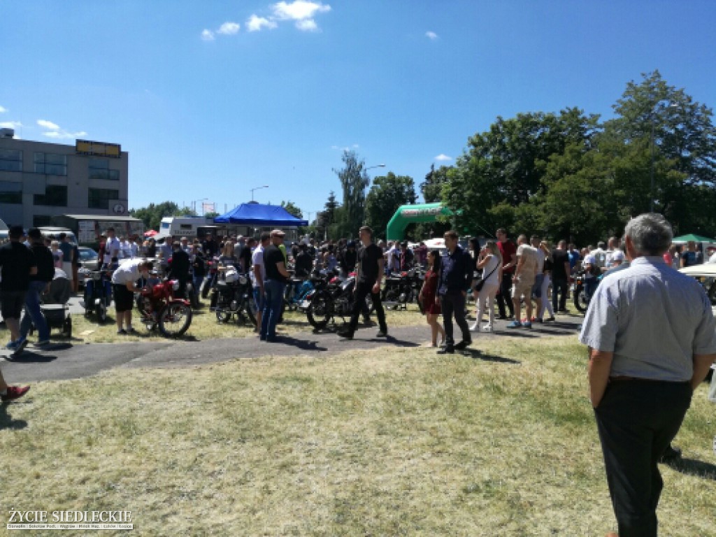 Mrowisko 2017