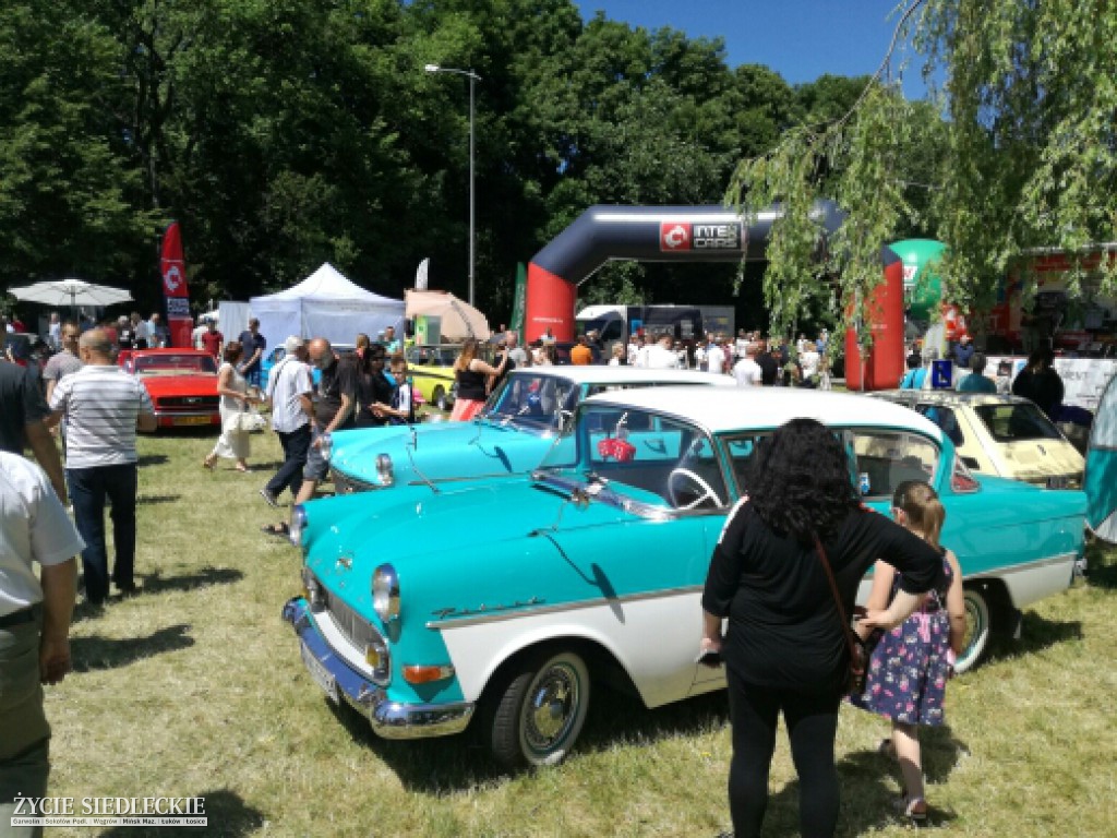 Mrowisko 2017