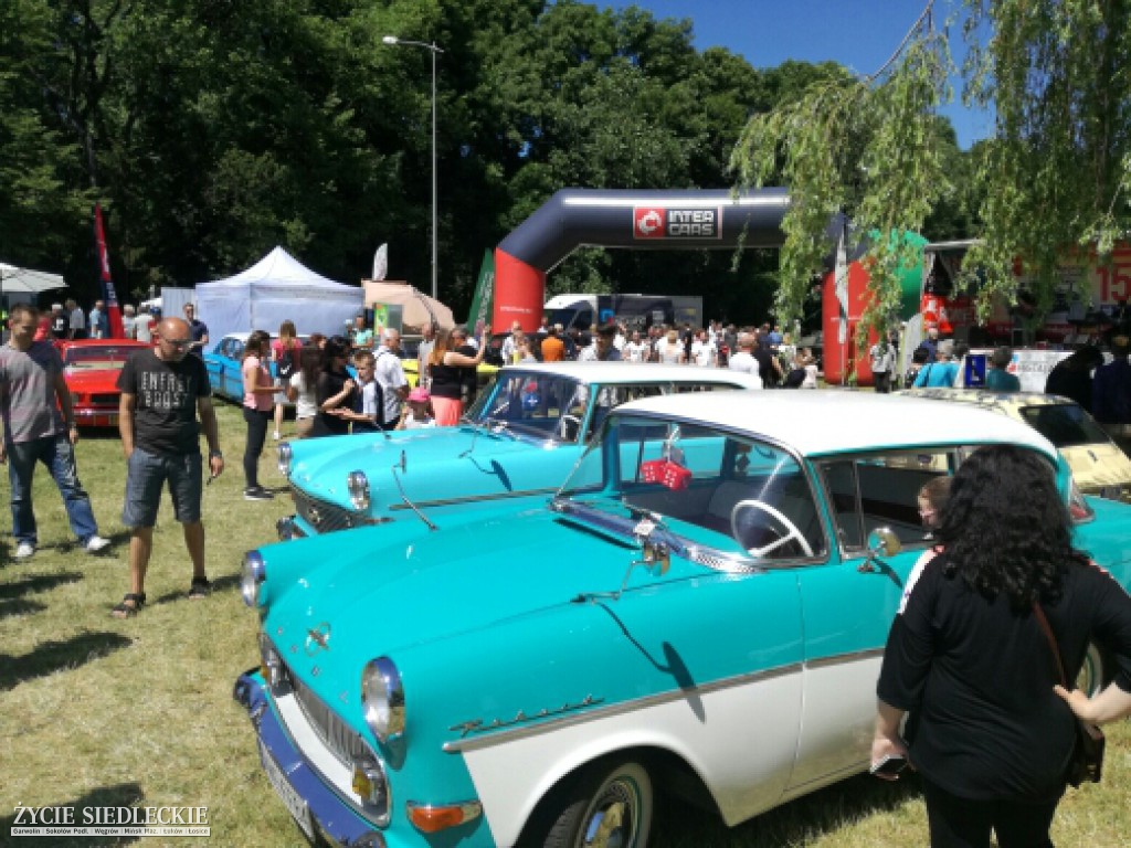 Mrowisko 2017