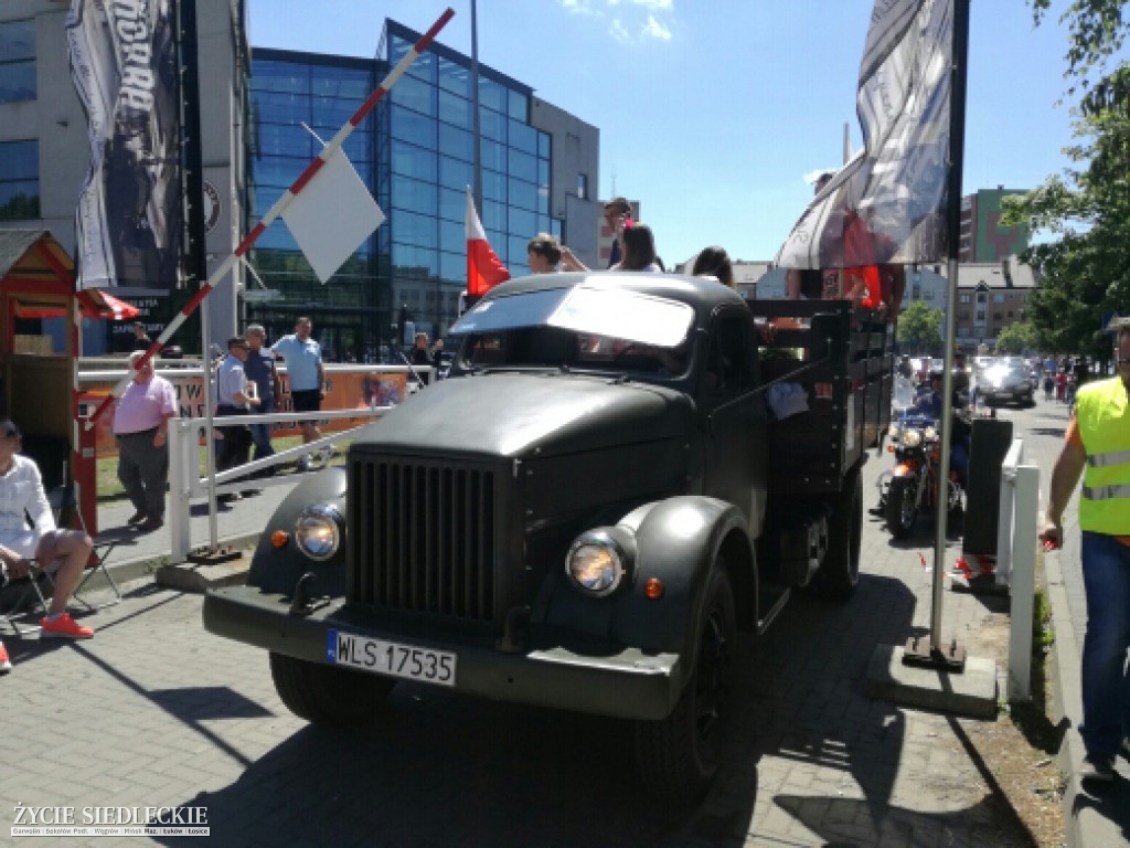 Mrowisko 2017