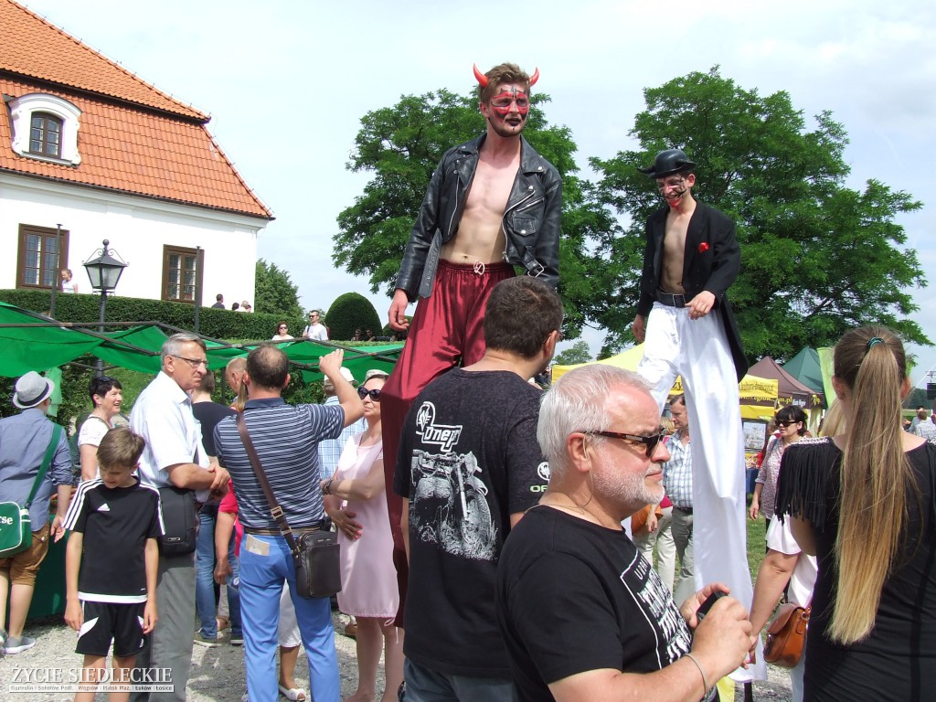 IV Międzynarodowy Turniej Smaków