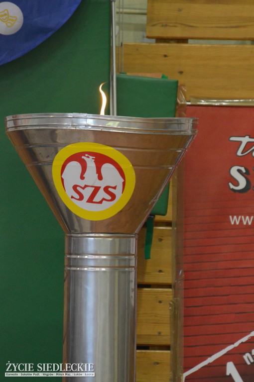 Ogólnopolska Olimpiada Młodzieży