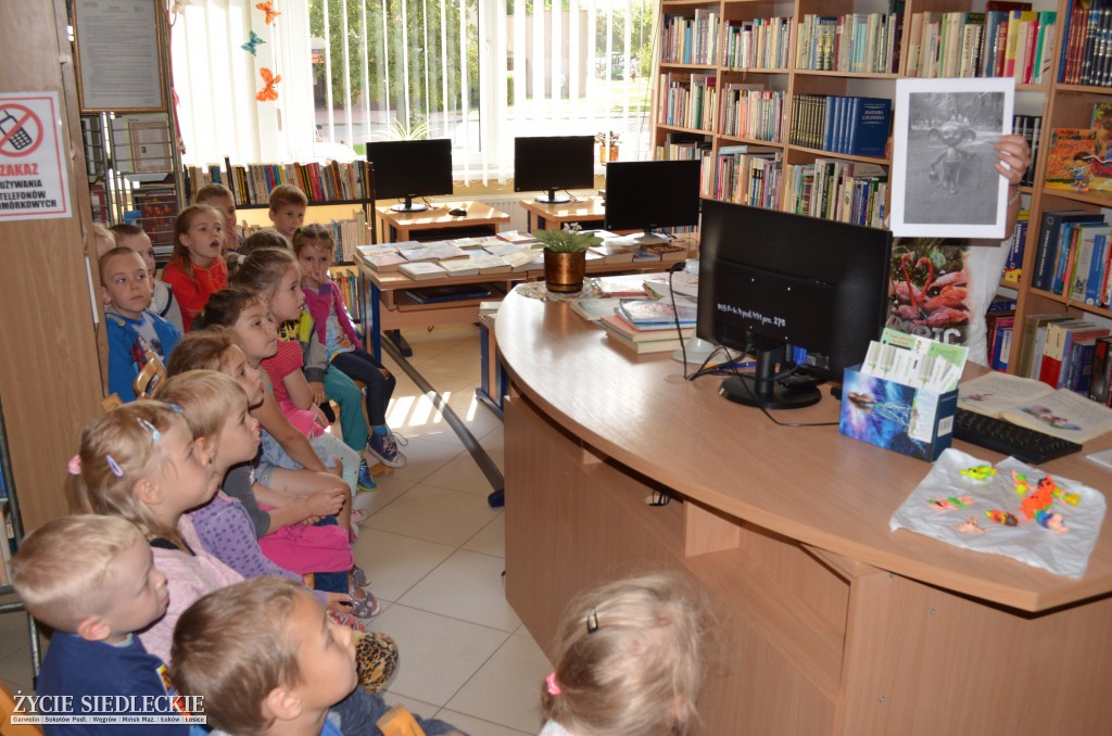 Plastuś w  siedleckiej książnicy