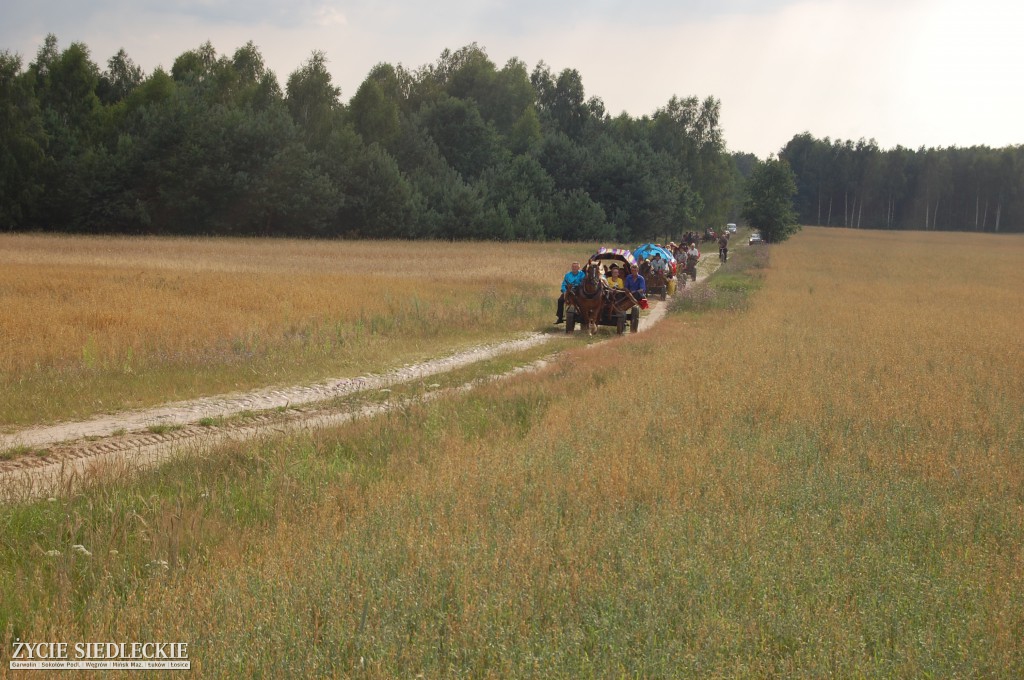 Jadą wozy kolorowe Wodyniami…