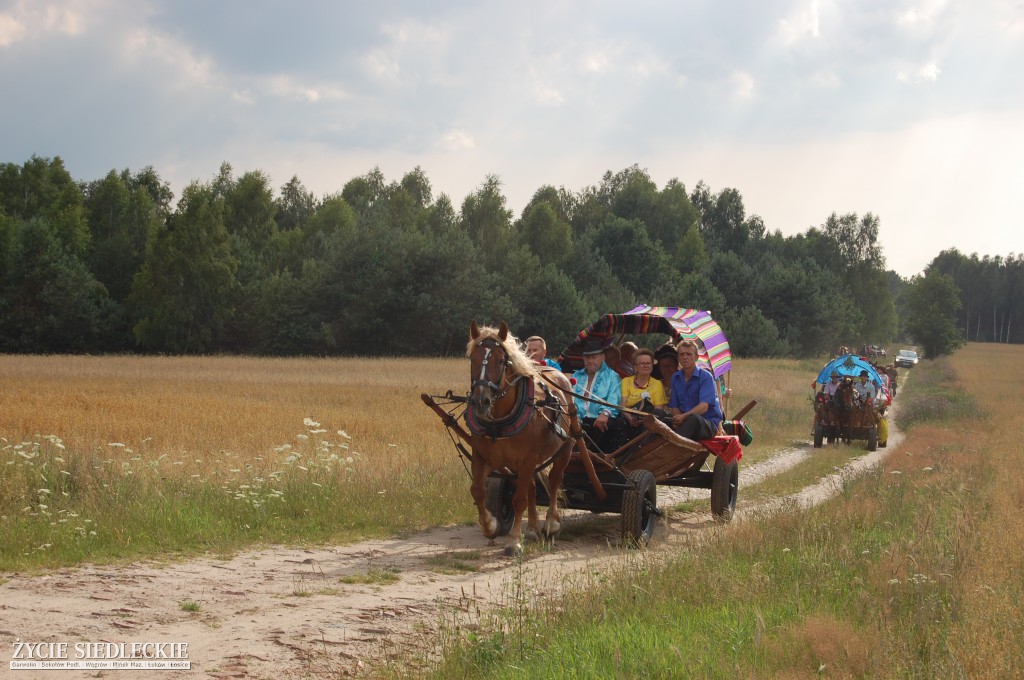 Jadą wozy kolorowe Wodyniami…