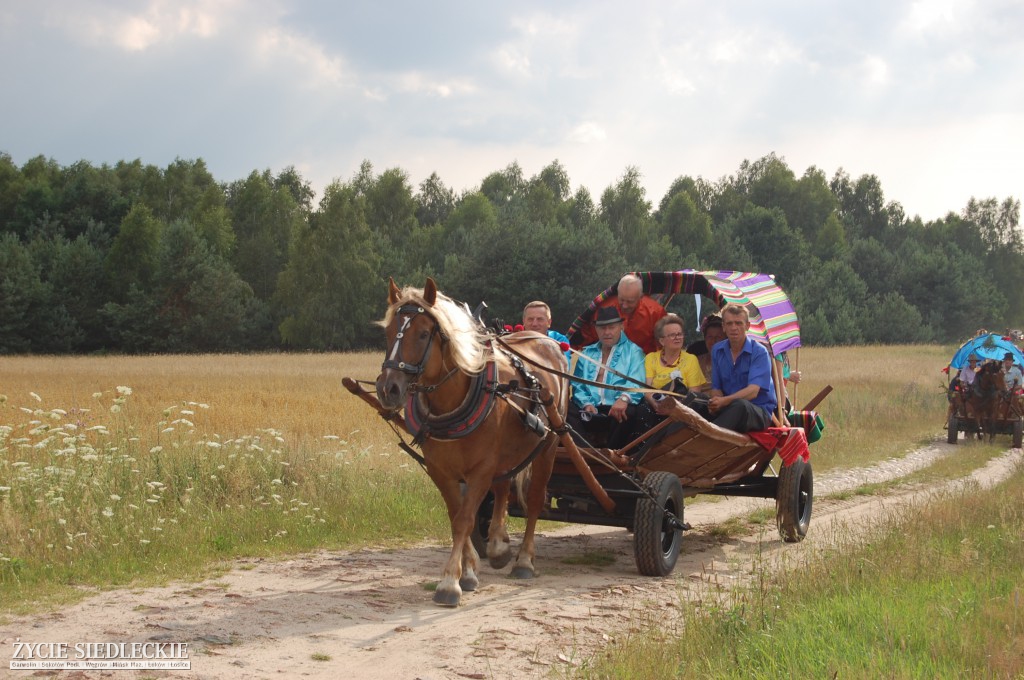 Jadą wozy kolorowe Wodyniami…