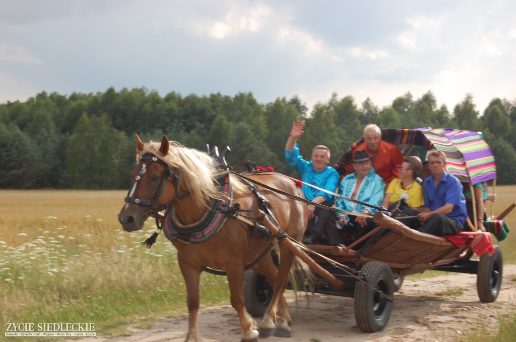 Jadą wozy kolorowe Wodyniami…