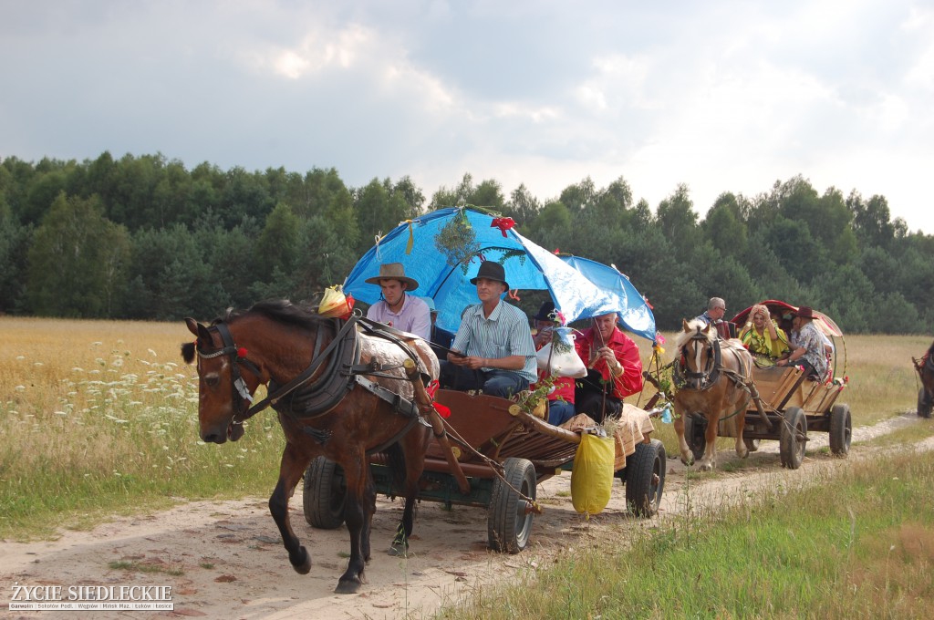 Jadą wozy kolorowe Wodyniami…