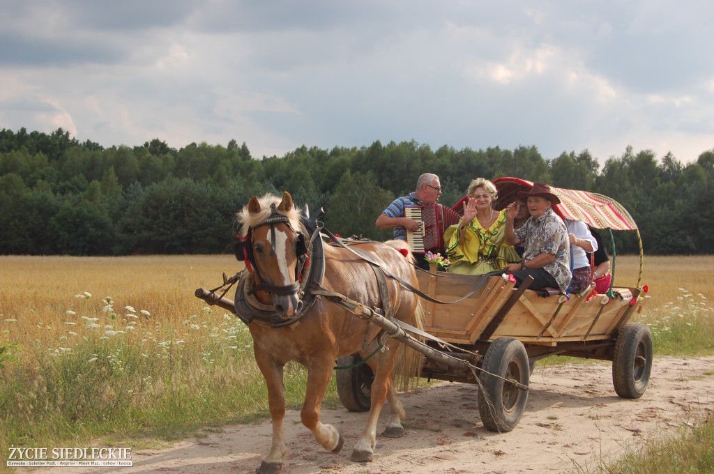 Jadą wozy kolorowe Wodyniami…