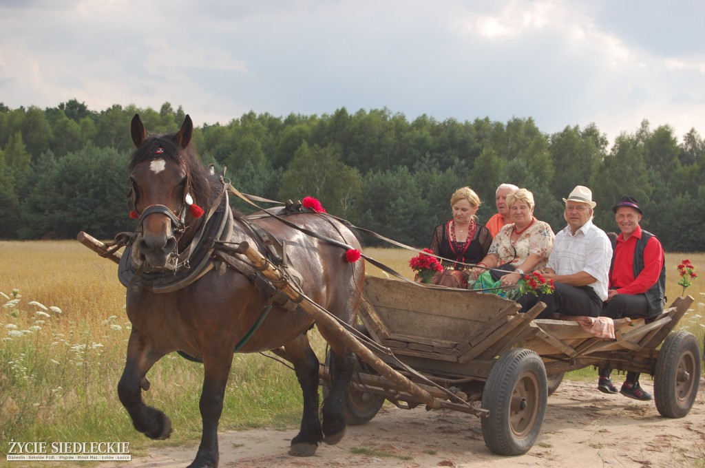 Jadą wozy kolorowe Wodyniami…