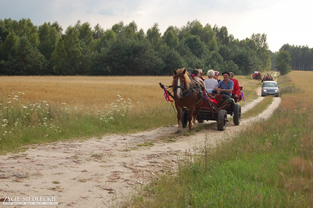 Jadą wozy kolorowe Wodyniami…