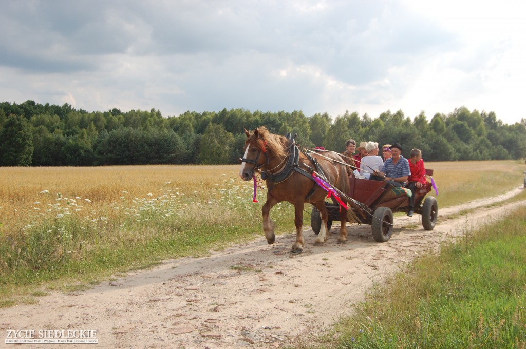 Jadą wozy kolorowe Wodyniami…