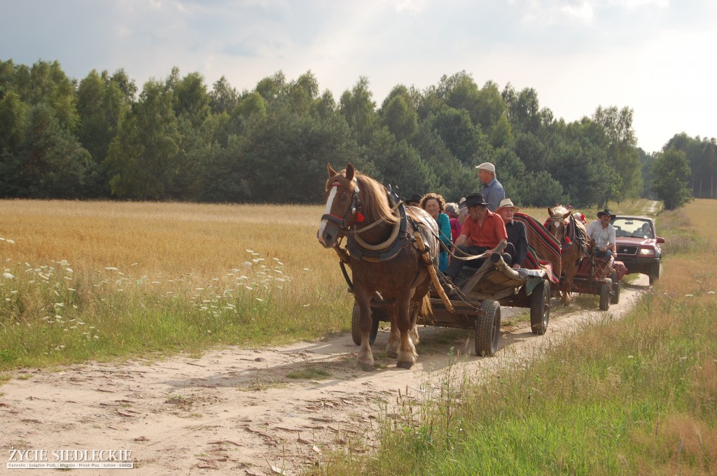 Jadą wozy kolorowe Wodyniami…