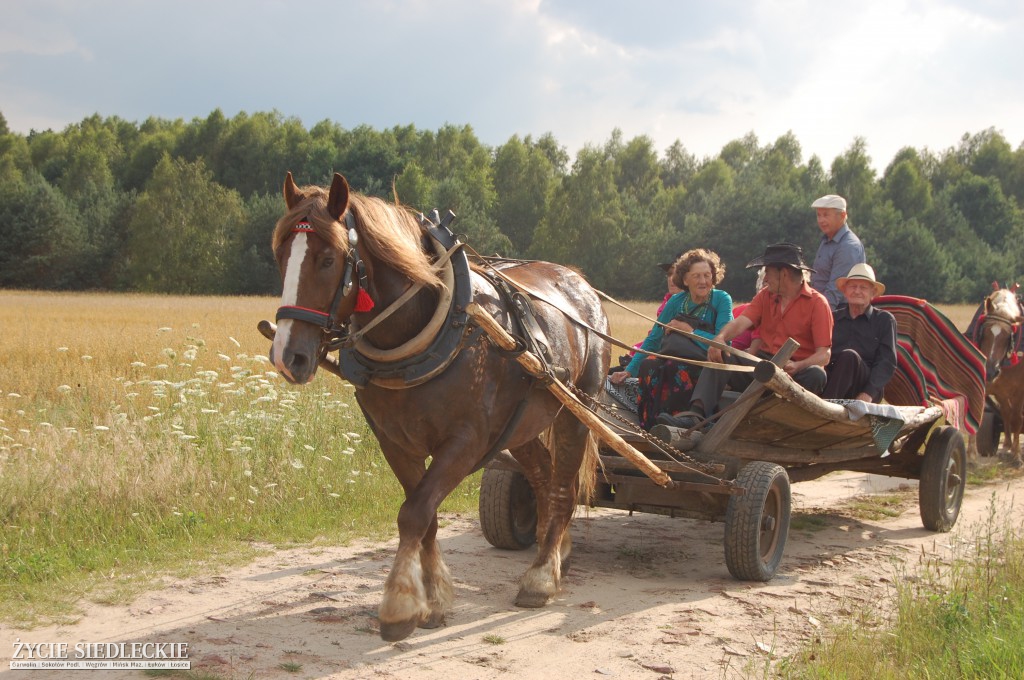 Jadą wozy kolorowe Wodyniami…