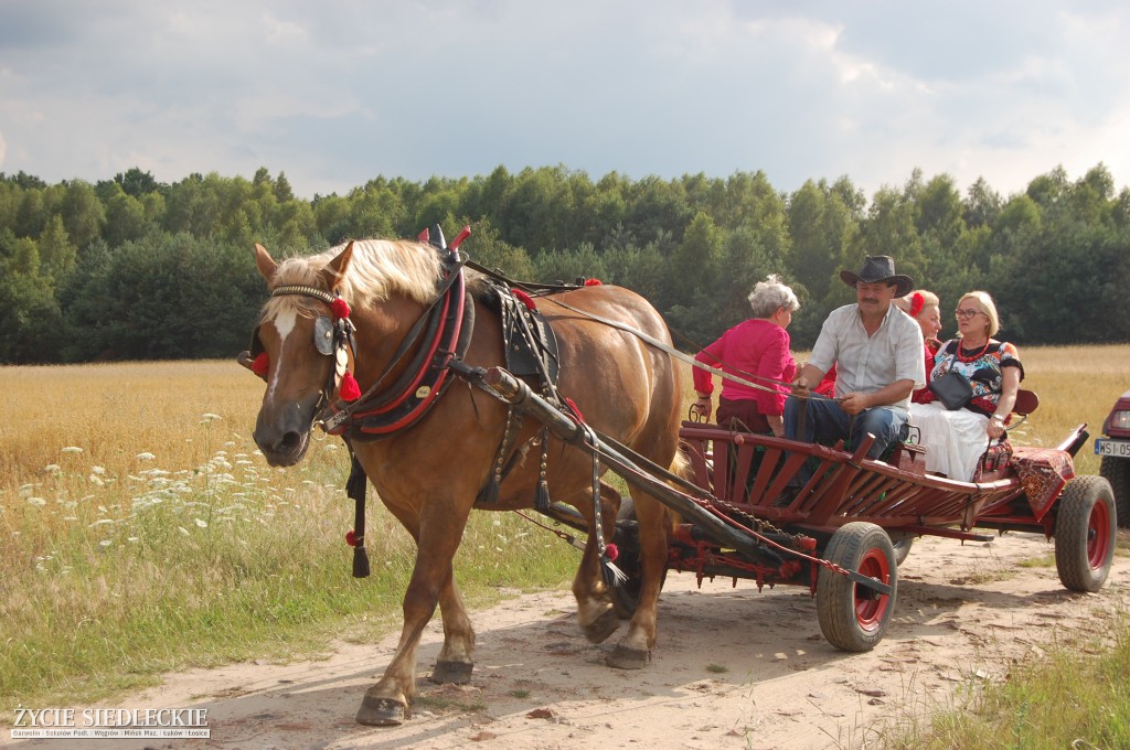 Jadą wozy kolorowe Wodyniami…
