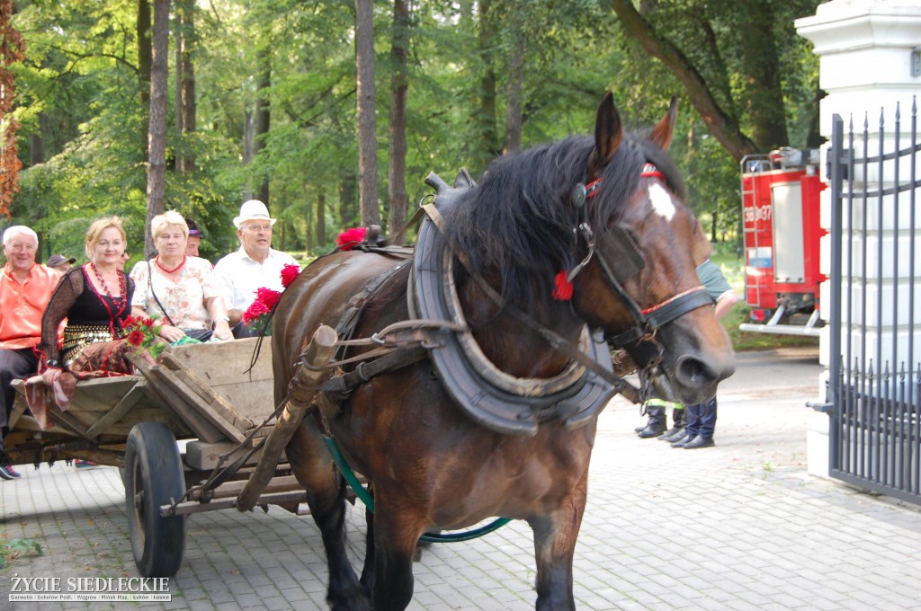 Jadą wozy kolorowe Wodyniami…