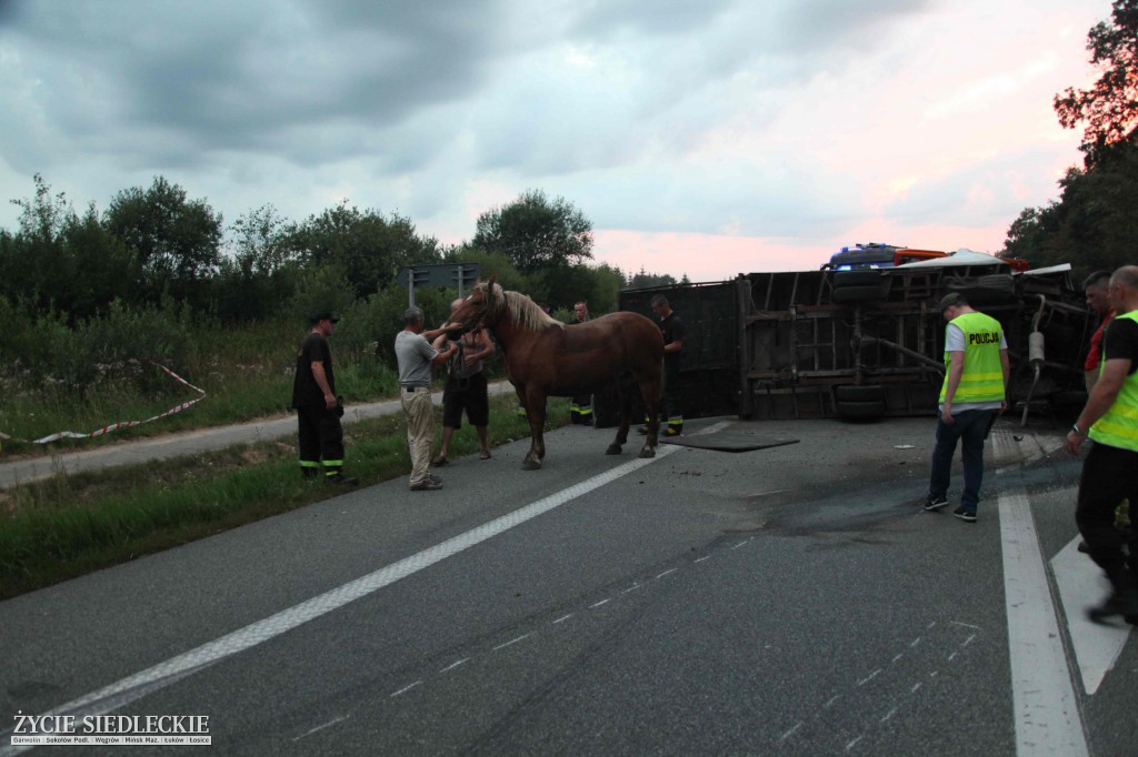 Zderzenie dostawczaków w Zbuczynie